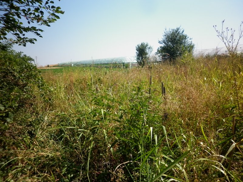Vidra, teren intravilan 4.800 mp (sau 1.200 mp),