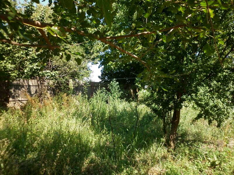 Vidra, 1200 mp intravilan deschidere la asfalt 19 m